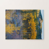 米国、コロラド州。ロッキー山脈の明るい黄色の《植物》アスペン ジグソーパズル (横)