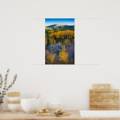 米国、コロラド州。ロッキー山脈の明るい黄色の《植物》アスペン ポスター (キッチン)