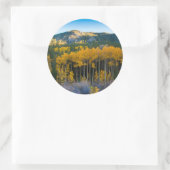 米国、コロラド州。ロッキー山脈の明るい黄色の《植物》アスペン ラウンドシール (バッグ)