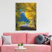 米国、コロラド州。ロードフランクバイ《植物》アスペン キャンバスプリント (インサイチュ (リビング))