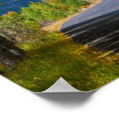 米国、コロラド州。ロードフランクバイ《植物》アスペン ポスター (角)