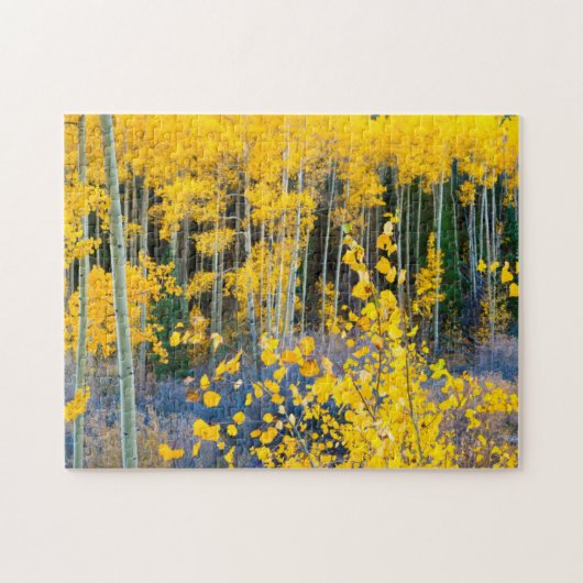 米国、コロラド州。明るい黄色の《植物》アスペンインロッキー2 ジグソーパズル (横)