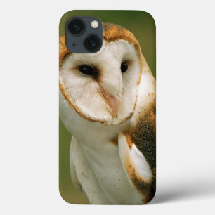 米国、コロラド州、Broomfield。 メンフクロウ iPhone 13ケース