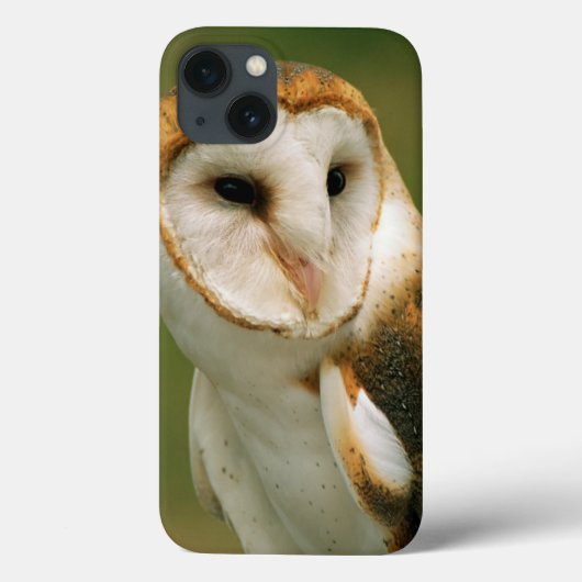 米国、コロラド州、Broomfield。 メンフクロウ Case-Mate iPhoneケース (裏面)