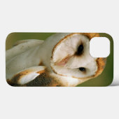 米国、コロラド州、Broomfield。 メンフクロウ Case-Mate iPhoneケース (裏面 (横))