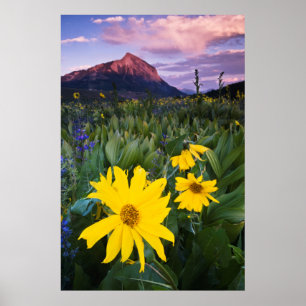 米国、コロラド州、Mt. Crested Butte ポスター