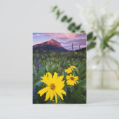 米国、コロラド州、Mt. Crested Butte ポストカード (スタンド正面)