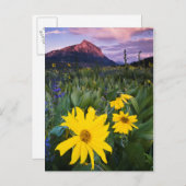 米国、コロラド州、Mt. Crested Butte ポストカード (正面/裏面)