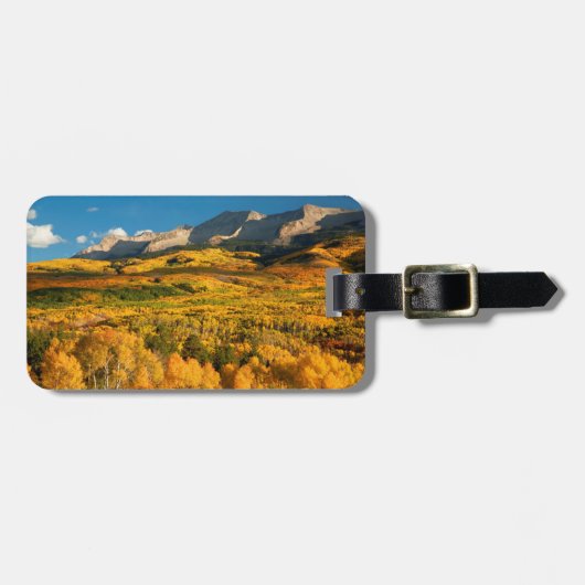 米国、コロラド、ガンニソン国有林 ラゲッジタグ (正面横)