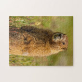 米国、コロラド、サンフアン山脈 ジグソーパズル (横)