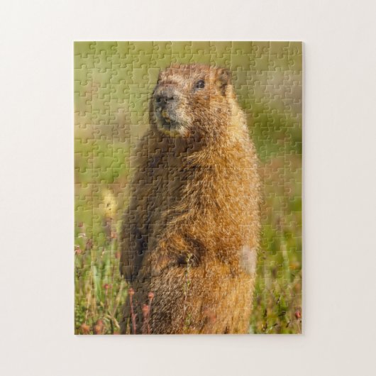 米国、コロラド、サンフアン山脈 ジグソーパズル (縦)