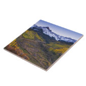 米国、コロラド、ロッキー山脈、サンフアン タイル (側面)