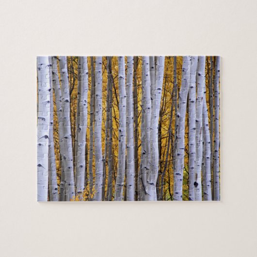 米国、コロラド、ロッキー山脈 親密な場面 ジグソーパズル (横)