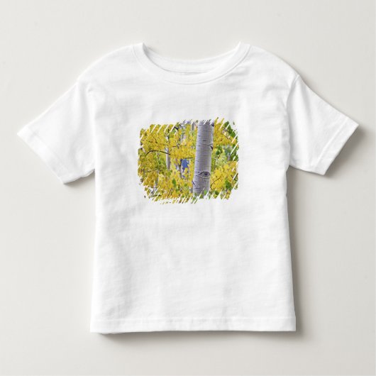 米国、コロラド、ロッキー山脈 親密《植物》アスペン2 トドラーTシャツ (正面)