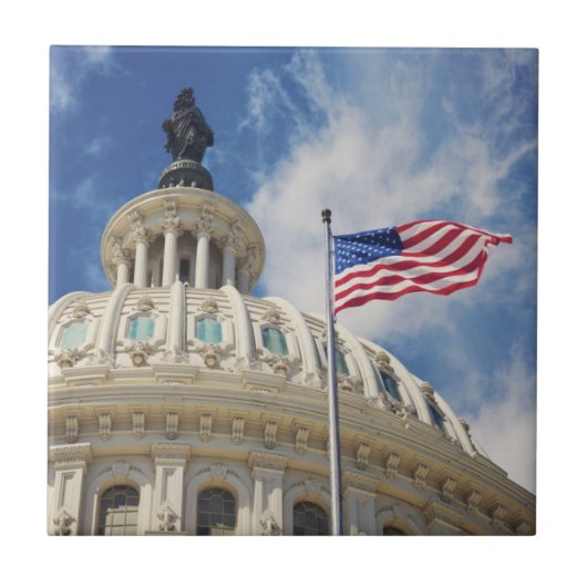 米国、コロンビア、Washington D.C.の国会議事堂の建物 タイル (正面)