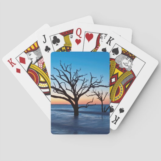 米国、サウスカロライナ、エディスト島、ボタニー湾 トランプ (裏面)