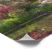 米国、サウスカロライナ、チャールストン。ヒノキ2 ポスター (角)