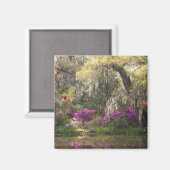 米国、サウスカロライナ、チャールストン。ヒノキ2 マグネット (正面/裏面)