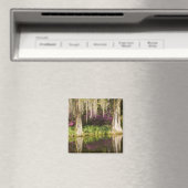 米国、サウスカロライナ、チャールストン。ヒノキ マグネット (インサイチュ (食洗機))