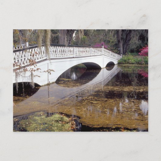 米国、サウスカロライナ、チャールストン。マグノリア ポストカード (正面)