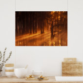 米国、ジョージア、ジョージスミス州パーク。 ポスター (キッチン)