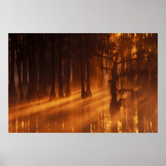 米国、ジョージア、ジョージスミス州パーク。 ポスター (正面)