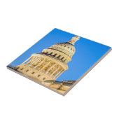 米国、テキサス州、オースティン。 国会議事堂の建物(1888年) 2 タイル (側面)