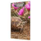 米国、テキサス州、ヒダルゴ郡。亀 クリップボード (左)