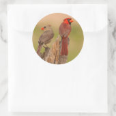 米国、テキサス州、ヒダルゴ郡。(鳥)ショウジョウコウカンチョウ対 ラウンドシール (バッグ)