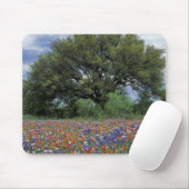 米国、テキサス州、大理石滝ペイントブラシと マウスパッド (マウス)