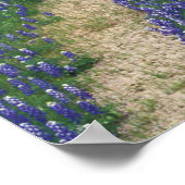 米国、テキサス州、大理石秋の近く、青のトラック ポスター (角)