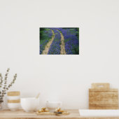 米国、テキサス州、大理石秋の近く、青のトラック ポスター (キッチン)