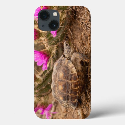 米国、テキサス州、Hidalgo郡。 カメ Case-Mate iPhoneケース (裏面)