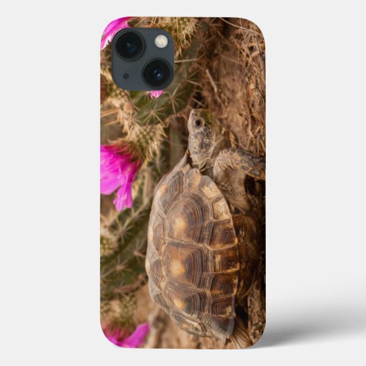 米国、テキサス州、Hidalgo郡。 カメ Case-Mate iPhoneケース (裏面)