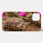 米国、テキサス州、Hidalgo郡。 カメ Case-Mate iPhoneケース (裏面 (横))