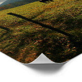 米国、テネシー州。ウズインカデズコーブバレー ポスター (角)