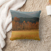 米国、テネシー州。カーズコーブインスモークマウンテン クッション (ブランケット)