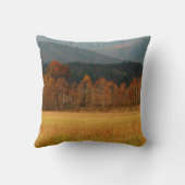 米国、テネシー州。カーズコーブインスモークマウンテン クッション (裏面)