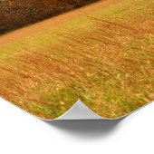 米国、テネシー州。カーズコーブインスモークマウンテン ポスター (角)