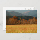 米国、テネシー州。カーズコーブインスモークマウンテン ポストカード (正面/裏面)