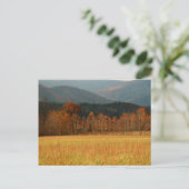 米国、テネシー州。カーズコーブインスモークマウンテン ポストカード (スタンド正面)