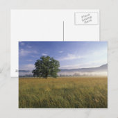 米国、テネシー州。スモーク素晴らしキー山脈 ポストカード (正面/裏面)