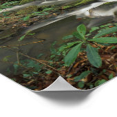 米国、テネシー州。ビッグサウスフォーク国立川 ポスター (角)