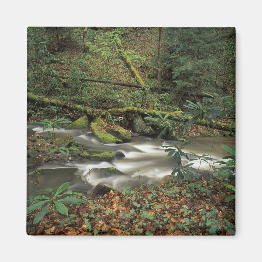 米国、テネシー州。ビッグサウスフォーク国立川 マグネット (正面)