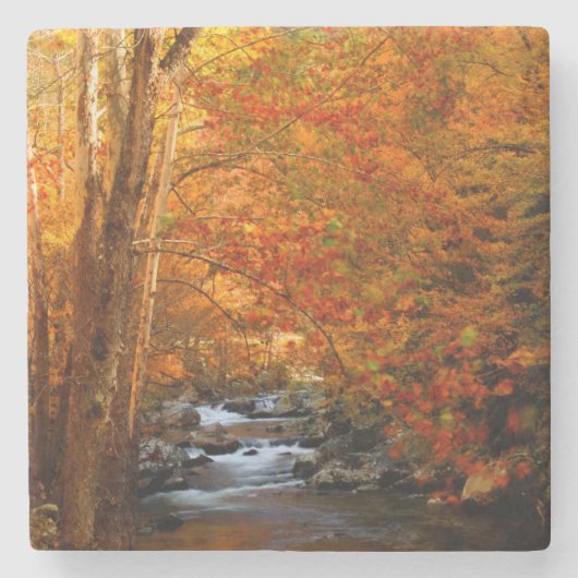 米国、テネシー州。ランキングマウンテンクリーク2 ストーンコースター (正面)