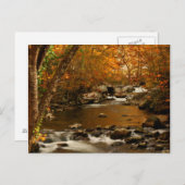 米国、テネシー州。ランキングマウンテンクリーク3 ポストカード (正面/裏面)