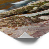 米国、テネシー州。ラーシングマウンテンクリーク4 ポスター (角)