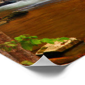 米国、テネシー州。ラーシングマウンテンクリーク ポスター (角)