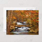 米国、テネシー州。ラーシングマウンテンクリーク ポストカード (正面/裏面)