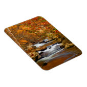 米国、テネシー州。ラーシングマウンテンクリーク マグネット (右側)